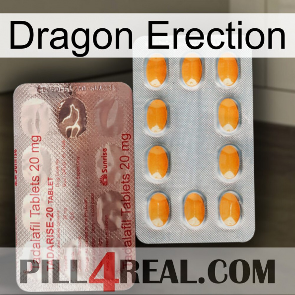 Dragon Erection new13.jpg